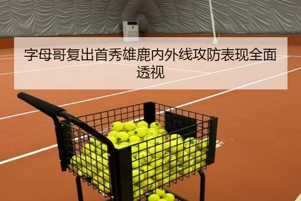 字母哥复出首秀雄鹿内外线攻防表现全面透视 - milansports